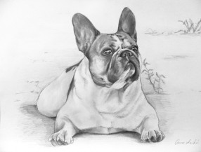 Fekete-fehér rajz kutyáról